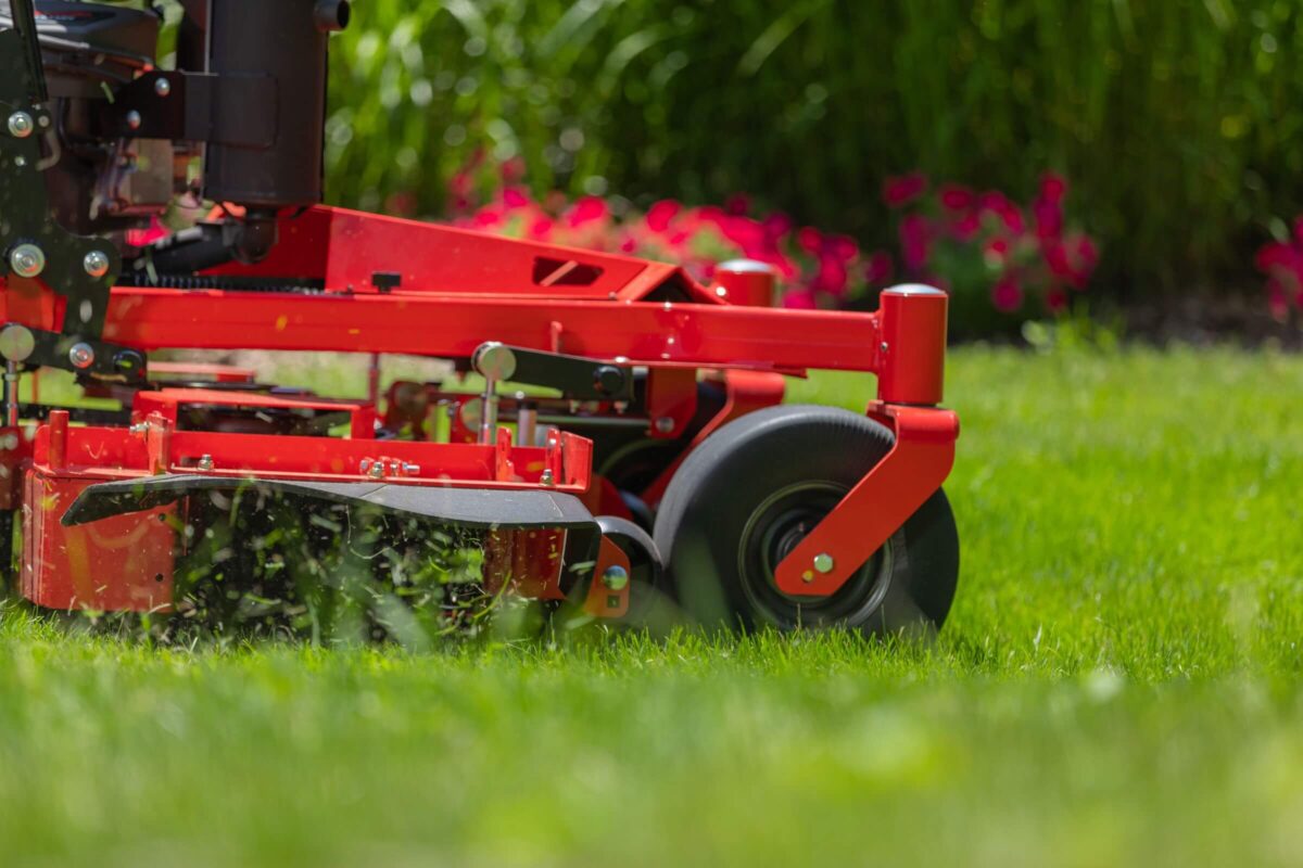A red lawn mower cutting green grass, with red flowers visible in the background.