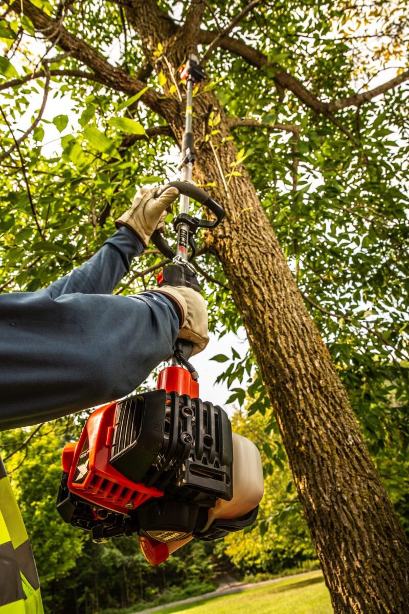 Person using a pole saw to trim branches of a tree, wearing gloves and protective gear, against a background of green foliage.