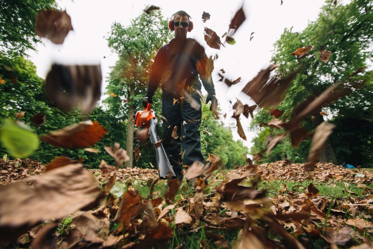 A person using a leaf blower on a grassy area, surrounded by flying leaves, with trees in the background.