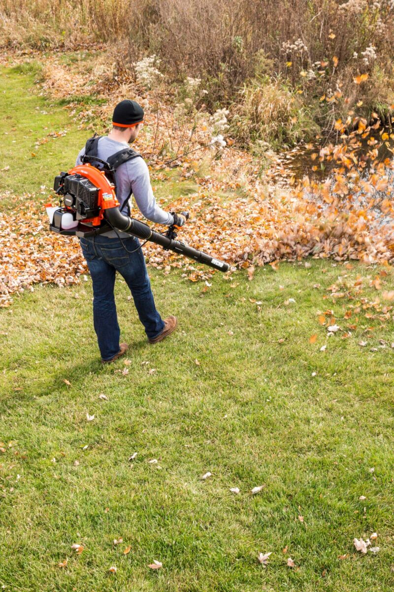 A person wearing a backpack leaf blower clears fallen leaves on a grassy lawn, surrounded by trees and shrubs.