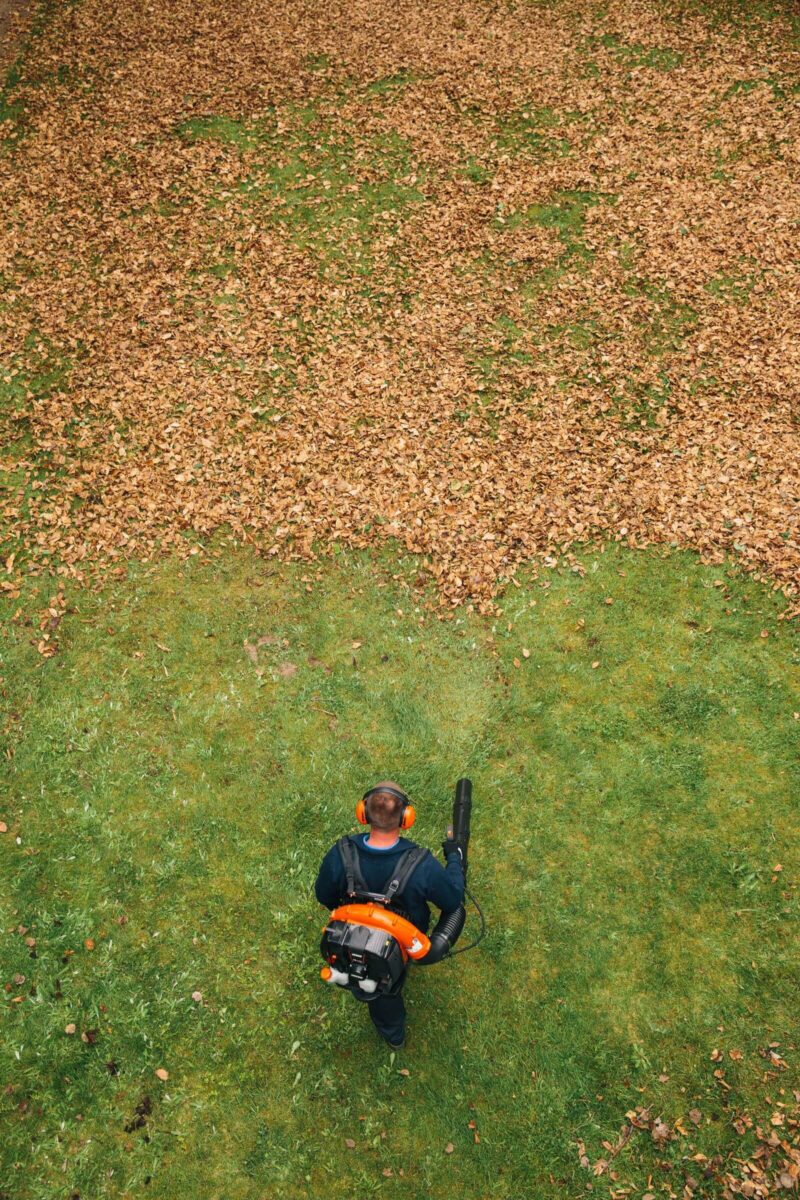 Person using a leaf blower on a lawn, moving leaves into a pile. Top view.