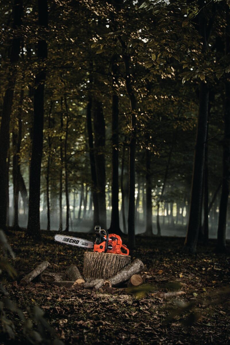 An ECHO chainsaw resting on a tree stump surrounded by chopped logs in a dimly lit forest.