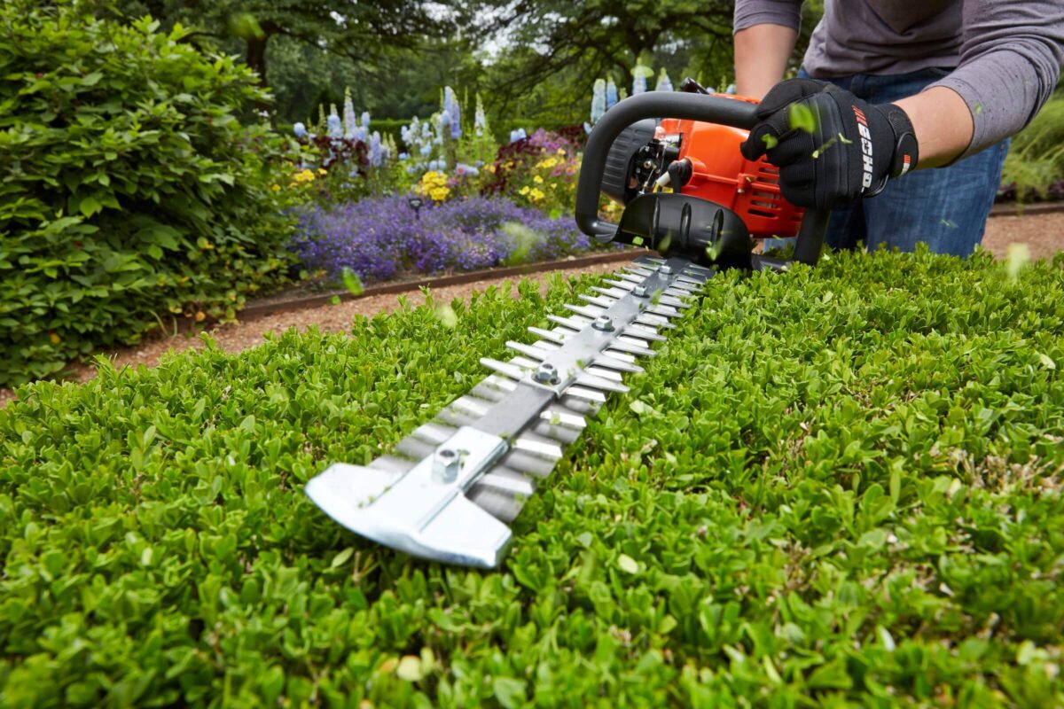 Person trimming a green hedge with an orange motorized hedge trimmer in a garden with colorful flowers in the background.
