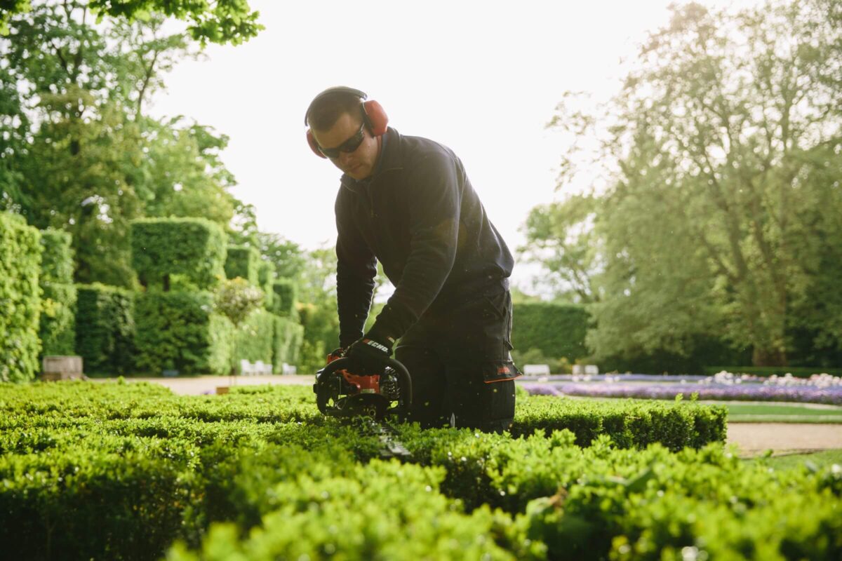 Person trimming a hedge with an electric trimmer in a garden. They are wearing protective gear, including ear muffs and sunglasses. Lush greenery and a clear sky are in the background.