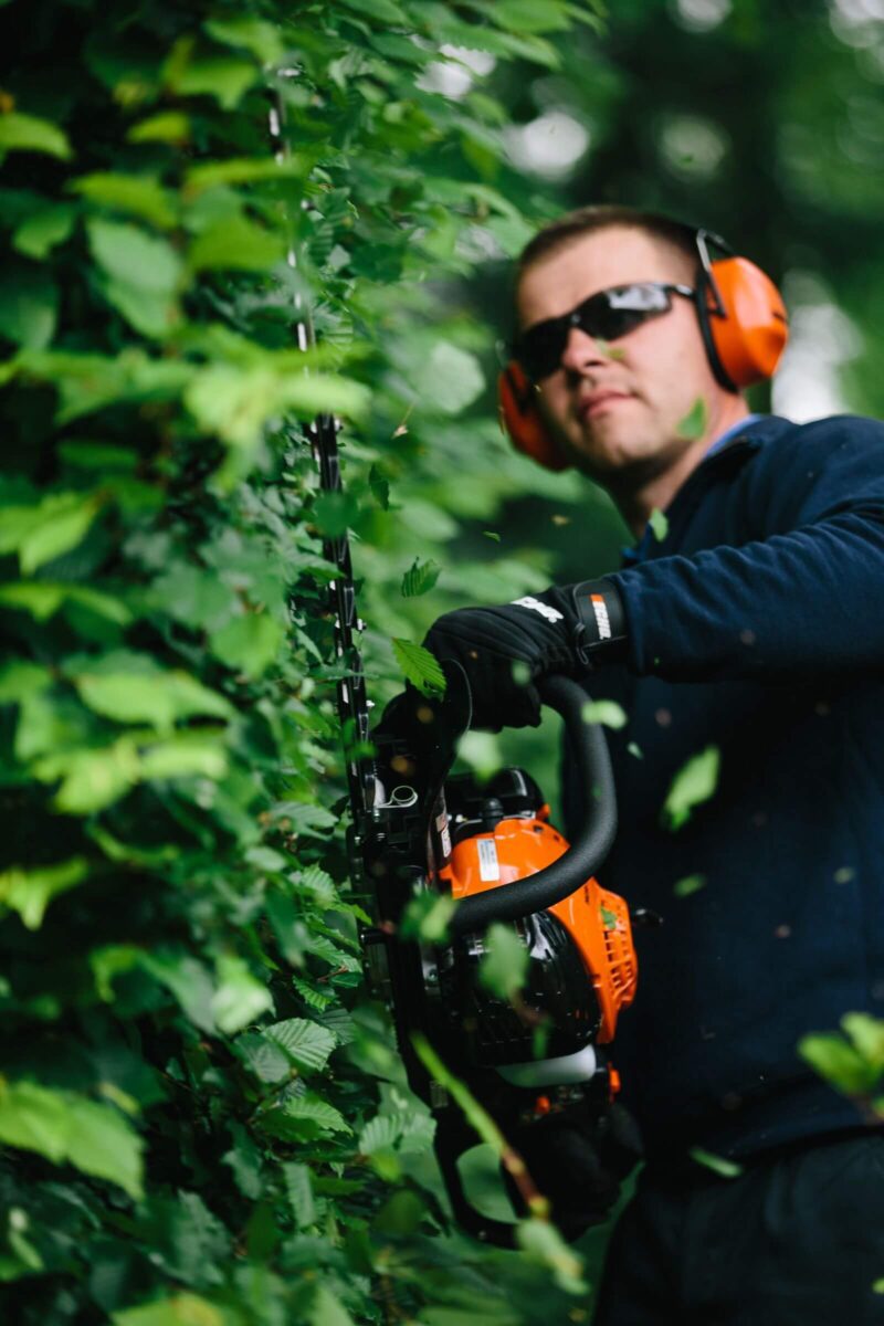 Person wearing ear protection and sunglasses, using a hedge trimmer to cut green foliage.