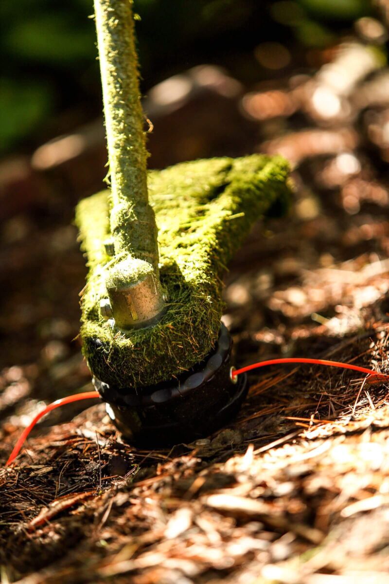 Close-up of a moss-covered weed trimmer on a forest floor, with sunlight casting shadows on the ground.