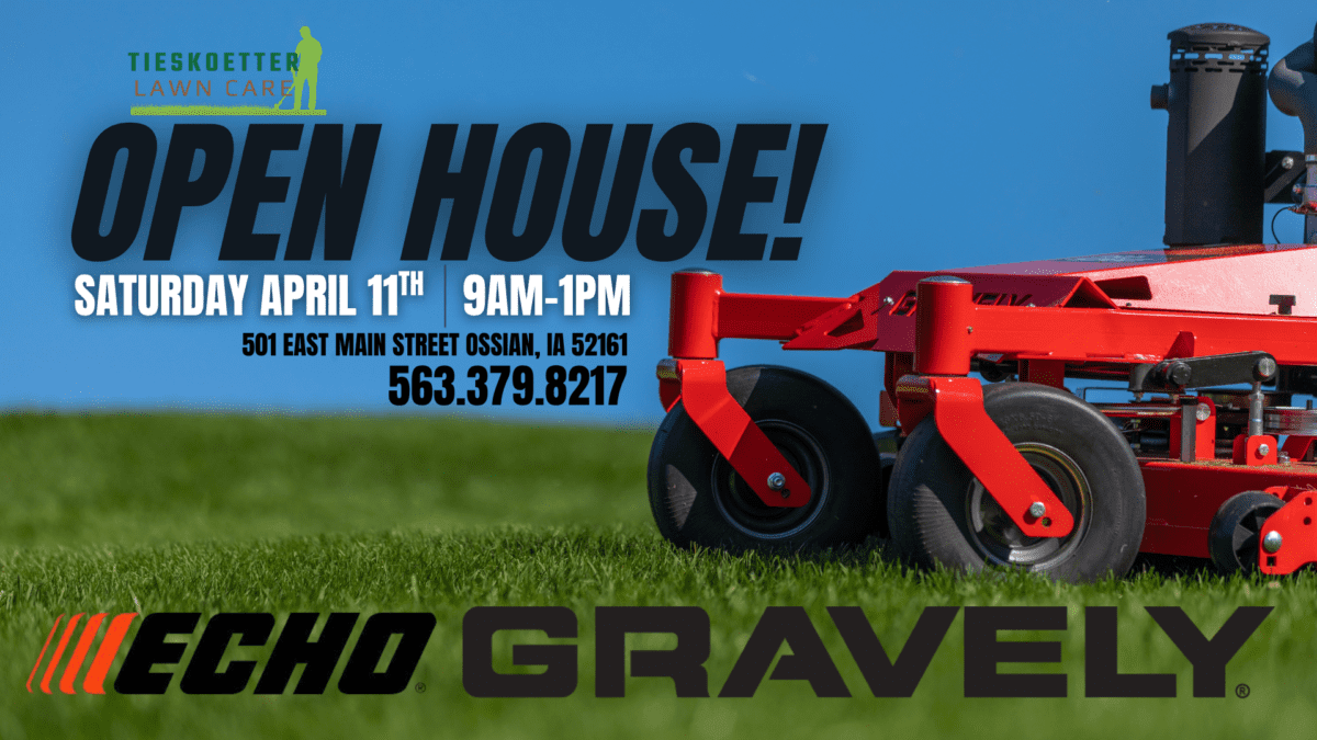 Open house promo-information below